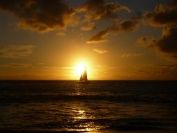 Visite de la petite cousine !